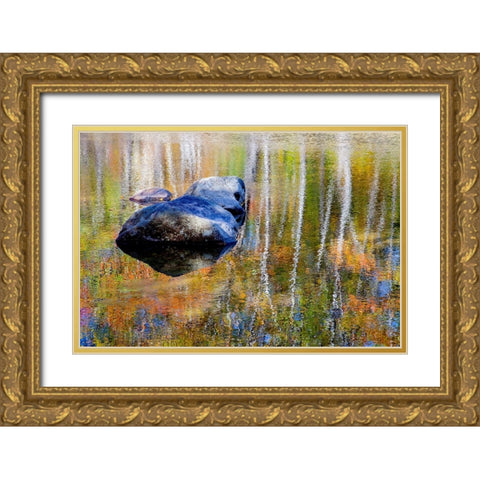 USA-New Hampshire-Gorham Autumn colors reflected in small pond Gold Ornate Wood Framed Art Print with Double Matting by Gulin, Sylvia