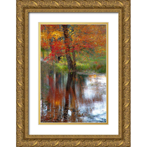 USA-New Hampshire-Jackson-Autumn in New England with Fall Color of Maple Tree reflected in small po Gold Ornate Wood Framed Art Print with Double Matting by Gulin, Sylvia