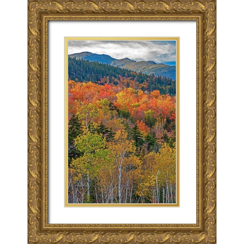 USA-New Hampshire-New England Fall colors on hillsides along highway 16 north of Jackson Gold Ornate Wood Framed Art Print with Double Matting by Gulin, Sylvia
