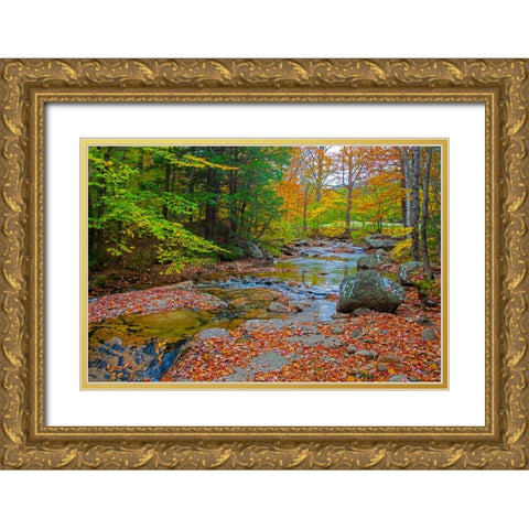 USA-New Hampshire-New England-Jackson small stream surrounded in Fall color Gold Ornate Wood Framed Art Print with Double Matting by Gulin, Sylvia