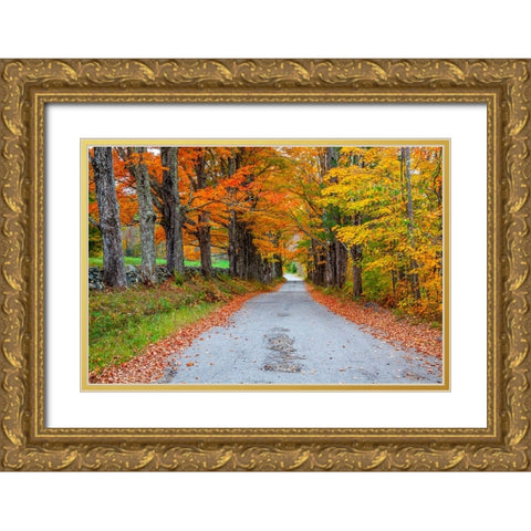 USA-New Hampshire-One lane road lined with Maple trees and stone fence in Autumn Gold Ornate Wood Framed Art Print with Double Matting by Gulin, Sylvia
