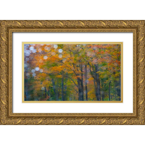 USA-New Hampshire-Sugar Hill looking through windshield on rainy day with Hardwood trees in Autumn  Gold Ornate Wood Framed Art Print with Double Matting by Gulin, Sylvia