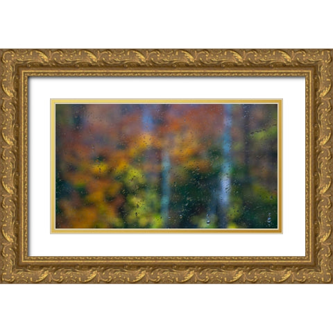 USA-New Hampshire-Sugar Hill looking through windshield on rainy day with Hardwood trees in Autumn  Gold Ornate Wood Framed Art Print with Double Matting by Gulin, Sylvia