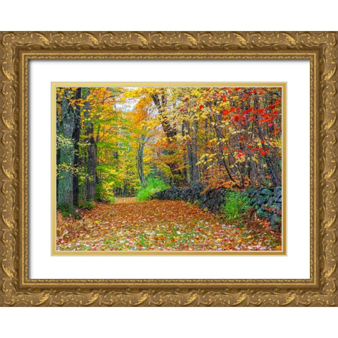USA-New Hampshire leaf covered lane Autumn colors and stone fence Gold Ornate Wood Framed Art Print with Double Matting by Gulin, Sylvia