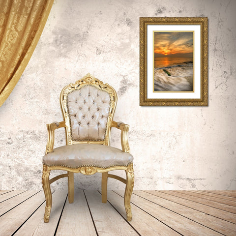 New Jersey, Cape May Scenic on Cape May Beach Gold Ornate Wood Framed Art Print with Double Matting by OBrien, Jay