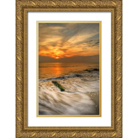 New Jersey, Cape May Scenic on Cape May Beach Gold Ornate Wood Framed Art Print with Double Matting by OBrien, Jay