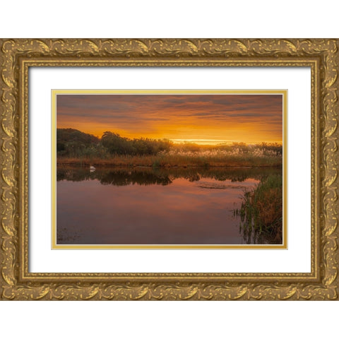 USA-New Jersey-Cape May National Seashore Sunrise on marsh Gold Ornate Wood Framed Art Print with Double Matting by Jaynes Gallery