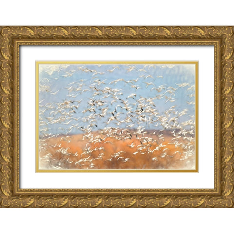 Painting effect on snow geese flying Bosque del Apache National Wildlife Refuge-New Mexico Gold Ornate Wood Framed Art Print with Double Matting by Jones, Adam