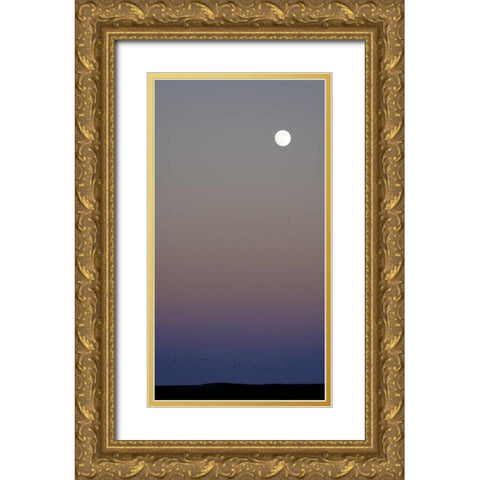 New Mexico Sandhill cranes flying under the moon Gold Ornate Wood Framed Art Print with Double Matting by Morris, Arthur