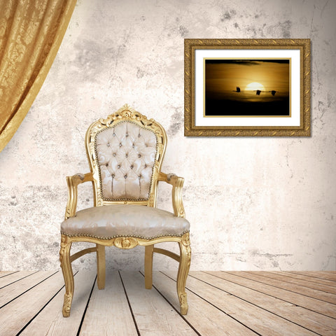 New Mexico Silhouettes of sandhill cranes flying Gold Ornate Wood Framed Art Print with Double Matting by Morris, Arthur