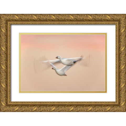 New Mexico Snow geese in flight at dusk Gold Ornate Wood Framed Art Print with Double Matting by Morris, Arthur