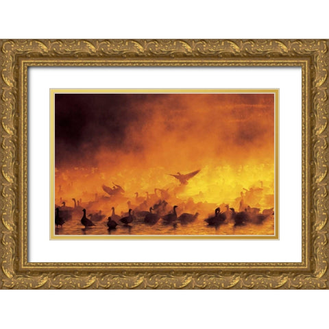 New Mexico Flock of snow geese backlit in fog Gold Ornate Wood Framed Art Print with Double Matting by Morris, Arthur