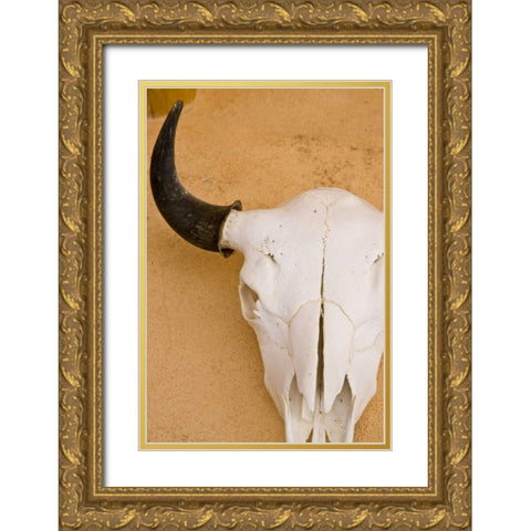 New Mexico, Santa Fe Animal skull on wall Gold Ornate Wood Framed Art Print with Double Matting by Ross, Nancy ,  Steve