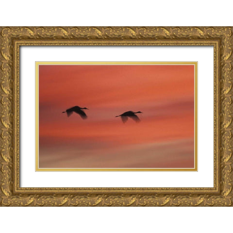 New MexicoAbstract of two sandhill cranes Gold Ornate Wood Framed Art Print with Double Matting by Anon, Josh