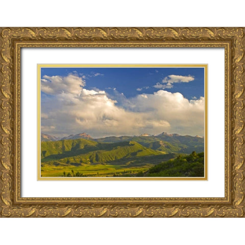 CO, Aspen, Summer sunset on green mountain vista Gold Ornate Wood Framed Art Print with Double Matting by Lord, Fred