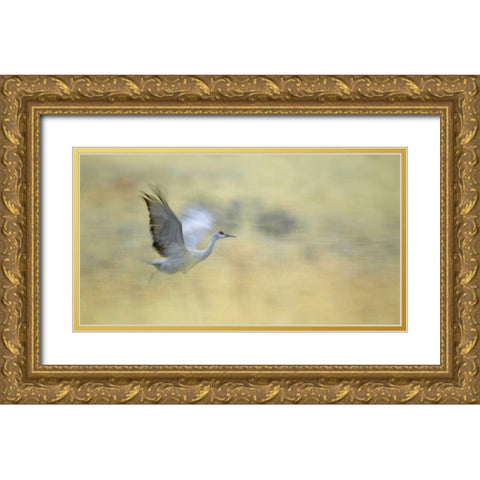 New Mexico Abstract of sandhill crane running Gold Ornate Wood Framed Art Print with Double Matting by Morris, Arthur