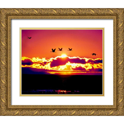 New Mexico Sandhill cranes flying through sunset Gold Ornate Wood Framed Art Print with Double Matting by Kelley, David