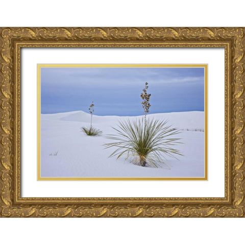 New Mexico, White Sands NM Yucca on sand dunes Gold Ornate Wood Framed Art Print with Double Matting by Grall, Don