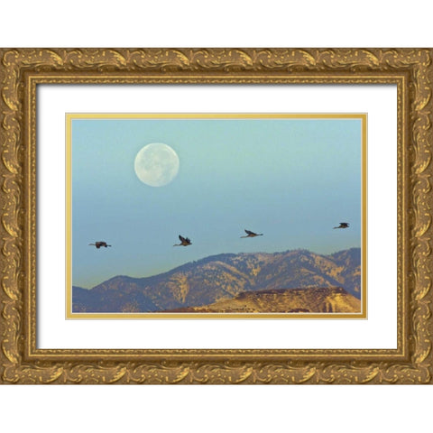 New Mexico Sandhill cranes flying by full moon Gold Ornate Wood Framed Art Print with Double Matting by Illg, Cathy and Gordon