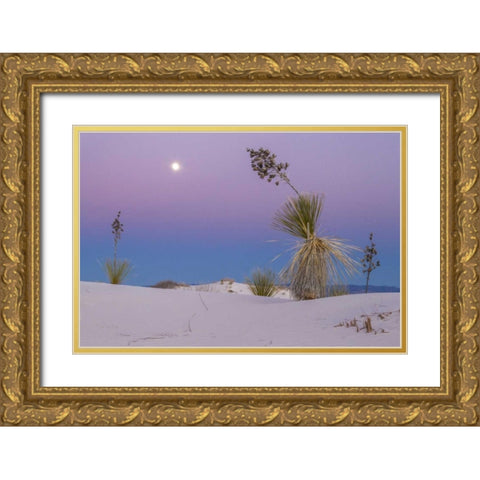 New Mexico, White Sands NM Moonrise over desert Gold Ornate Wood Framed Art Print with Double Matting by Illg, Cathy and Gordon
