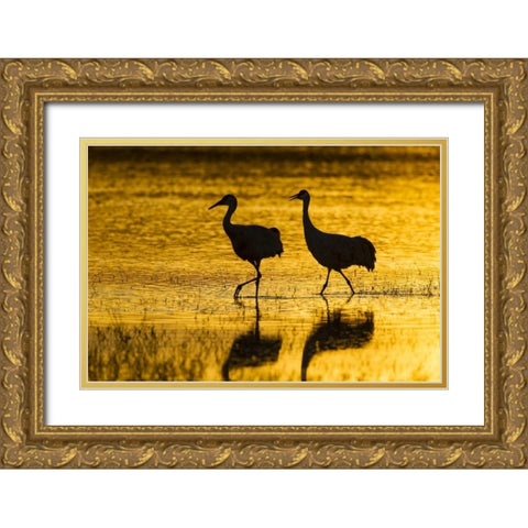 New Mexico Silhouette of Sandhill cranes Gold Ornate Wood Framed Art Print with Double Matting by Illg, Cathy and Gordon
