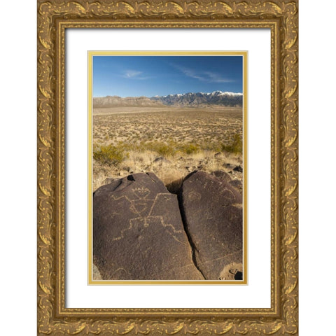 New Mexico, Three Rivers Petroglyph on rock Gold Ornate Wood Framed Art Print with Double Matting by Illg, Cathy and Gordon