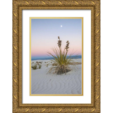 New Mexico, White Sands NM Moon over yucca plant Gold Ornate Wood Framed Art Print with Double Matting by Illg, Cathy and Gordon