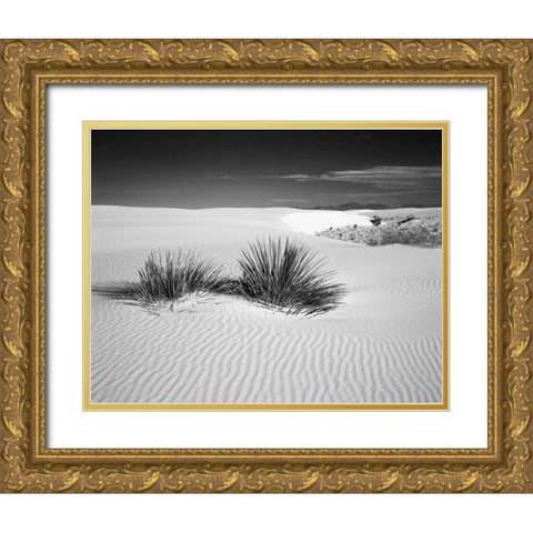 New Mexico, White Sands NM Bush in desert sand Gold Ornate Wood Framed Art Print with Double Matting by Flaherty, Dennis