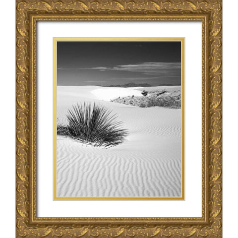 New Mexico, White Sands NM Bush in desert sand Gold Ornate Wood Framed Art Print with Double Matting by Flaherty, Dennis