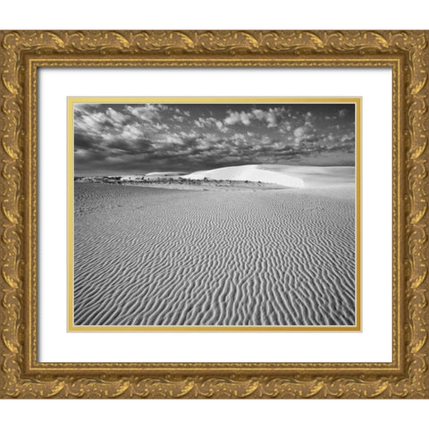 New Mexico, White Sands NM Desert landscape Gold Ornate Wood Framed Art Print with Double Matting by Flaherty, Dennis