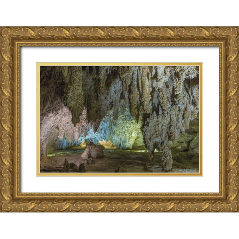 New Mexico, Carlsbad Caverns Scenic of cavern Gold Ornate Wood Framed Art Print with Double Matting by Paulson, Don