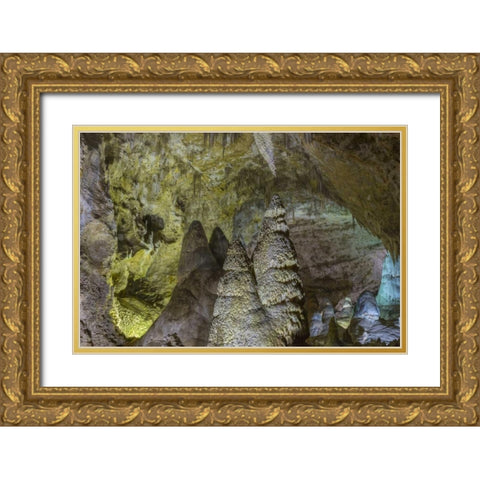 New Mexico, Carlsbad Caverns Scenic of cavern Gold Ornate Wood Framed Art Print with Double Matting by Paulson, Don