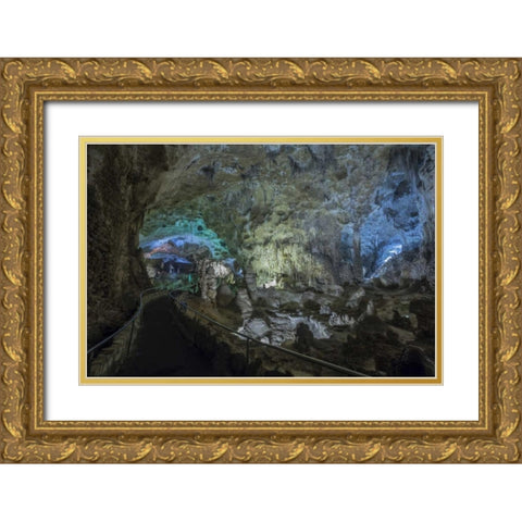 New Mexico, Carlsbad Caverns Scenic of cavern Gold Ornate Wood Framed Art Print with Double Matting by Paulson, Don