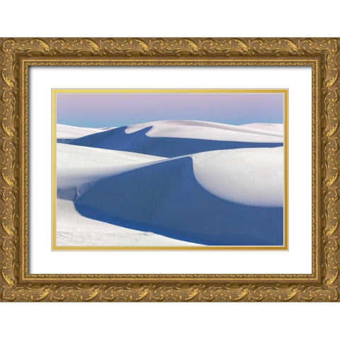 New Mexico, White Sands NM Desert landscape Gold Ornate Wood Framed Art Print with Double Matting by Paulson, Don