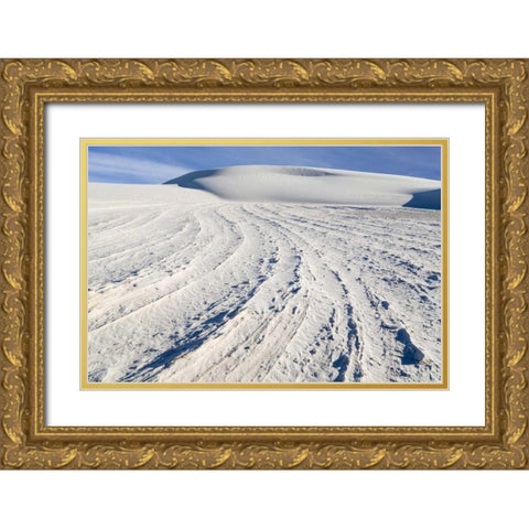 New Mexico, White Sands NM Desert landscape Gold Ornate Wood Framed Art Print with Double Matting by Paulson, Don