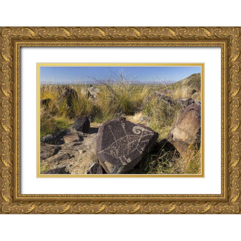 New Mexico, Three Rivers, Petroglyph on rock Gold Ornate Wood Framed Art Print with Double Matting by Paulson, Don