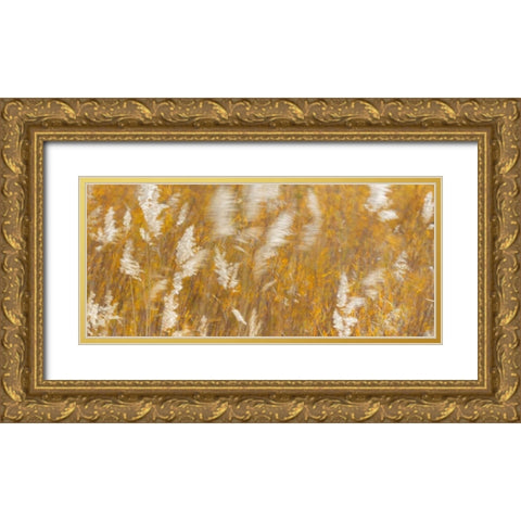 New Mexico Panoramic of blowing grasses Gold Ornate Wood Framed Art Print with Double Matting by Paulson, Don