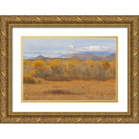 New Mexico Fall colors in grasses Gold Ornate Wood Framed Art Print with Double Matting by Paulson, Don
