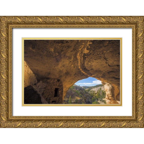 New Mexico, Gila Cliff Dwellings NM Inside ruins Gold Ornate Wood Framed Art Print with Double Matting by Paulson, Don