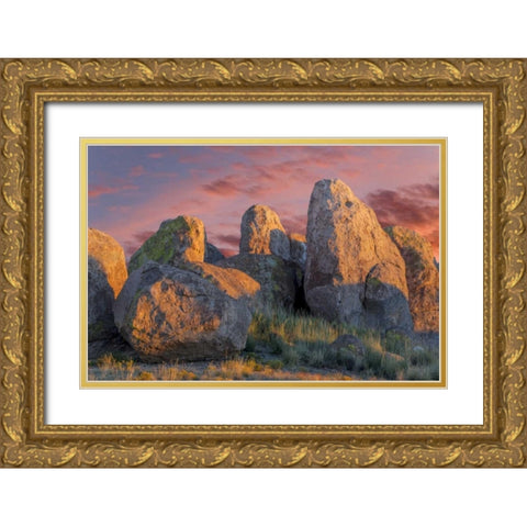 New Mexico, City of Rocks SP Sunset on boulders Gold Ornate Wood Framed Art Print with Double Matting by Paulson, Don