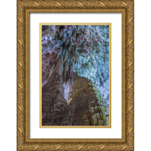 New Mexico, Carlsbad Caverns Scenic of cavern Gold Ornate Wood Framed Art Print with Double Matting by Paulson, Don