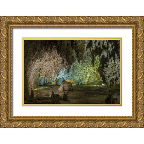 New Mexico, Carlsbad Caverns Scenic of cavern Gold Ornate Wood Framed Art Print with Double Matting by Paulson, Don