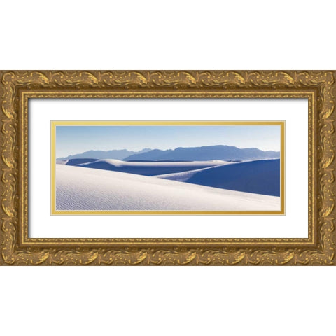 New Mexico, White Sands NM Desert landscape Gold Ornate Wood Framed Art Print with Double Matting by Paulson, Don