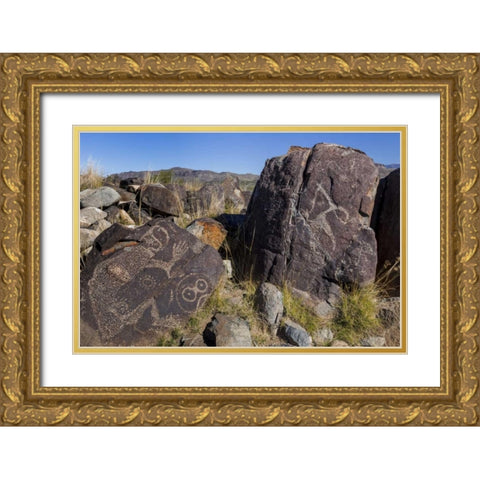 New Mexico, Three Rivers Petroglyph etchings Gold Ornate Wood Framed Art Print with Double Matting by Paulson, Don