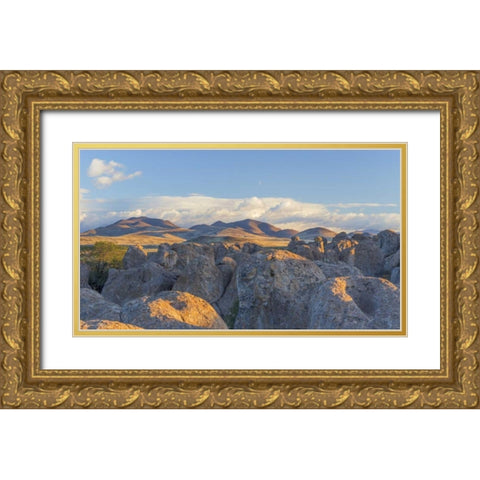 New Mexico, City of Rocks Landscape of boulders Gold Ornate Wood Framed Art Print with Double Matting by Paulson, Don
