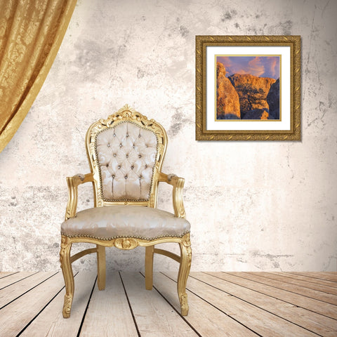 New Mexico, City of Rocks SP Sunset on boulders Gold Ornate Wood Framed Art Print with Double Matting by Paulson, Don