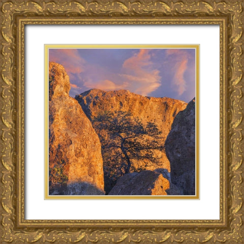New Mexico, City of Rocks SP Sunset on boulders Gold Ornate Wood Framed Art Print with Double Matting by Paulson, Don