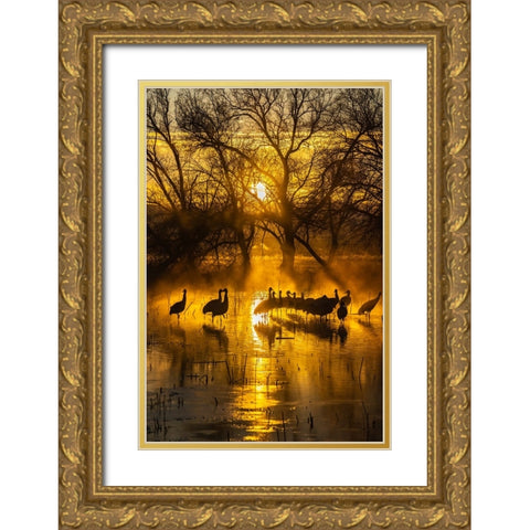USA-New Mexico-Bernardo Wildlife Management Area-Sandhill cranes in water on foggy sunrise Gold Ornate Wood Framed Art Print with Double Matting by Jaynes Gallery