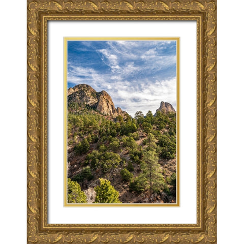 USA-New Mexico-Sandia Mountains-Mountain and forest landscape Gold Ornate Wood Framed Art Print with Double Matting by Jaynes Gallery