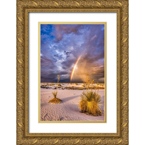 USA-New Mexico-White Sands National Park Thunderstorm rainbow over desert Gold Ornate Wood Framed Art Print with Double Matting by Jaynes Gallery